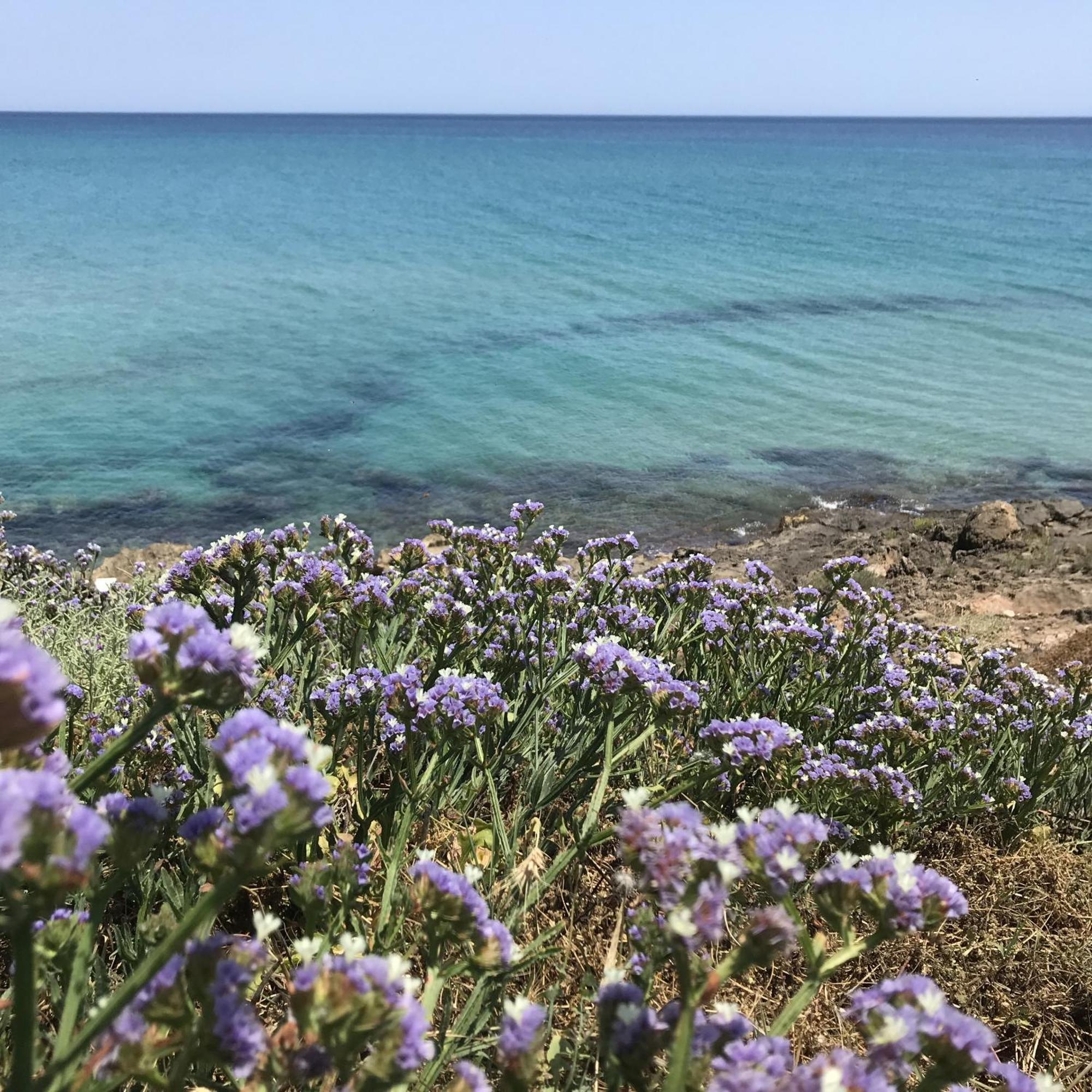 CasapiuHolidaySicilia Noto Exterior foto