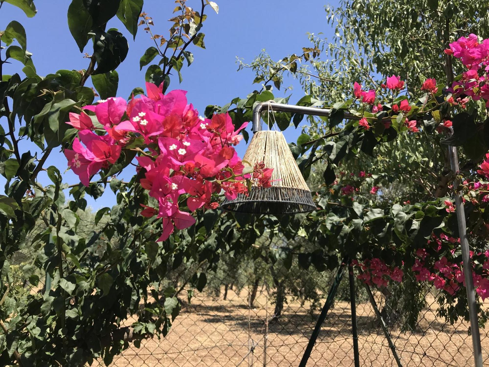 CasapiuHolidaySicilia Noto Habitación foto